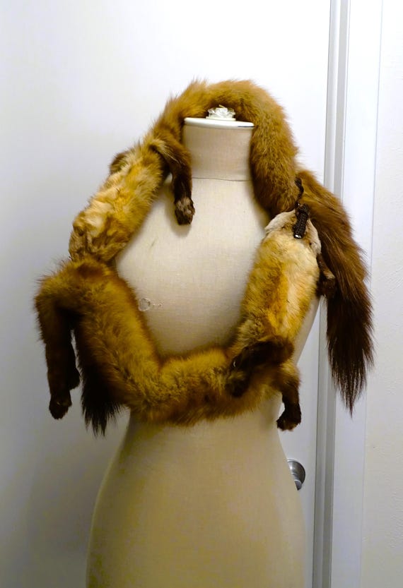 Mink Collar - image 9