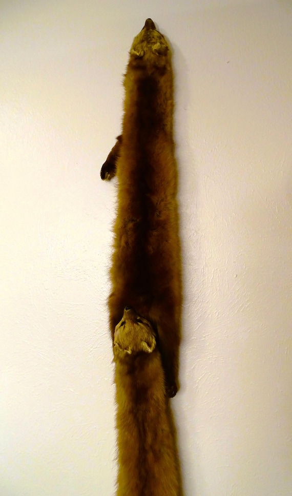 Mink Collar - image 10