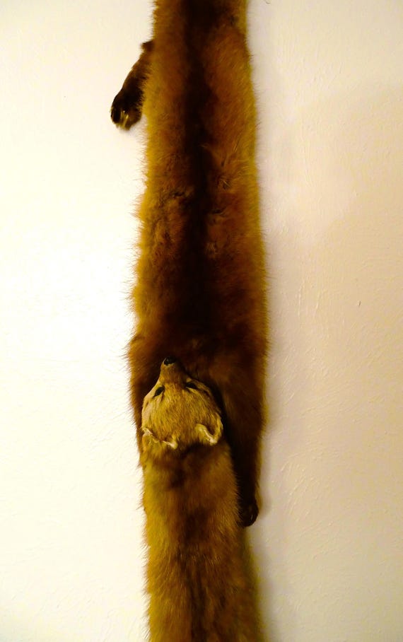 Mink Collar - image 6