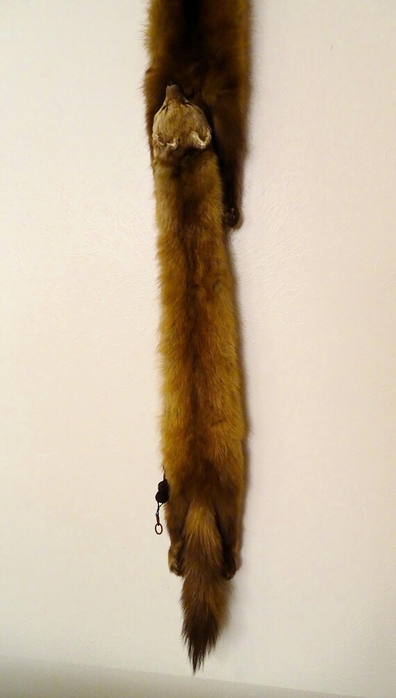 Mink Collar - image 8