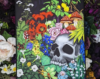 Poisonous Plants Art Print: Toxicology Botanical Illustration (11x14)