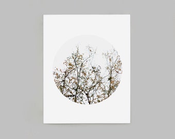 Autumn Branches Circle Cropped Wall Art, 13x16