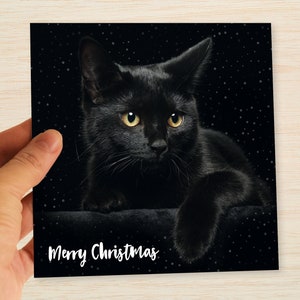 Black Cat Christmas Cards & Packs Cat Xmas Cards for Cat Lovers Perfect for Friend Brother Dad Mum Sister Cousin Uncle Aunt Nan Grandad Son image 1