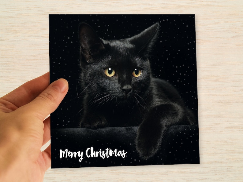 Black Cat Christmas Cards & Packs Cat Xmas Cards for Cat Lovers Perfect for Friend Brother Dad Mum Sister Cousin Uncle Aunt Nan Grandad Son image 1