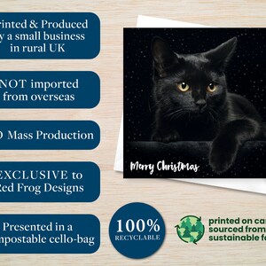May include: A Christmas card featuring a black cat with yellow eyes against a starry background. The words "Merry Christmas" are written in white. The card is printed on card sourced from sustainable forests and presented in a compostable cello-bag.