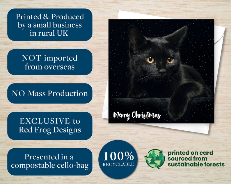 May include: A Christmas card featuring a black cat with yellow eyes against a starry background. The words "Merry Christmas" are written in white. The card is printed on card sourced from sustainable forests and presented in a compostable cello-bag.