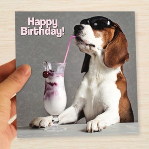 May include: A Beagle dog wearing sunglasses and drinking a milkshake with a cherry on top. The dog is sitting on a table and the background is a grey wall. The text "Happy Birthday!" is written in pink letters at the top of the image.