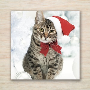 May include: A tabby cat wearing a red Santa hat and a red bow tie. The cat is sitting in front of a white Christmas tree and white ornaments. The cat has green eyes and is looking directly at the viewer.