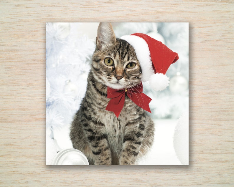 May include: A tabby cat wearing a red Santa hat and a red bow tie. The cat is sitting in front of a white Christmas tree and white ornaments. The cat has green eyes and is looking directly at the viewer.
