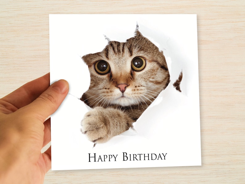 May include: A brown tabby cat with green eyes peeks through a hole in a white card. The card says "Happy Birthday".
