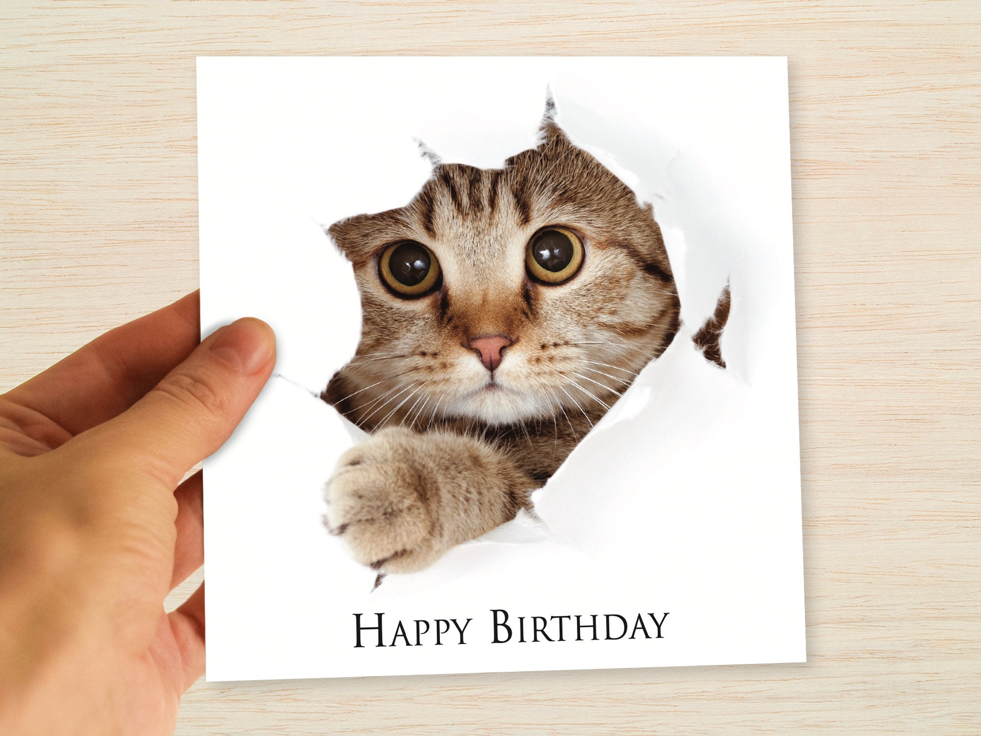 Tabby Cat Birthday Card Cat Kitten Happy Birthday Cat Card for Cat Mum  Daughter Sister Niece Nan Wife Partner Girlfriend Friend her kids - Etsy  België, image size:2000x1500