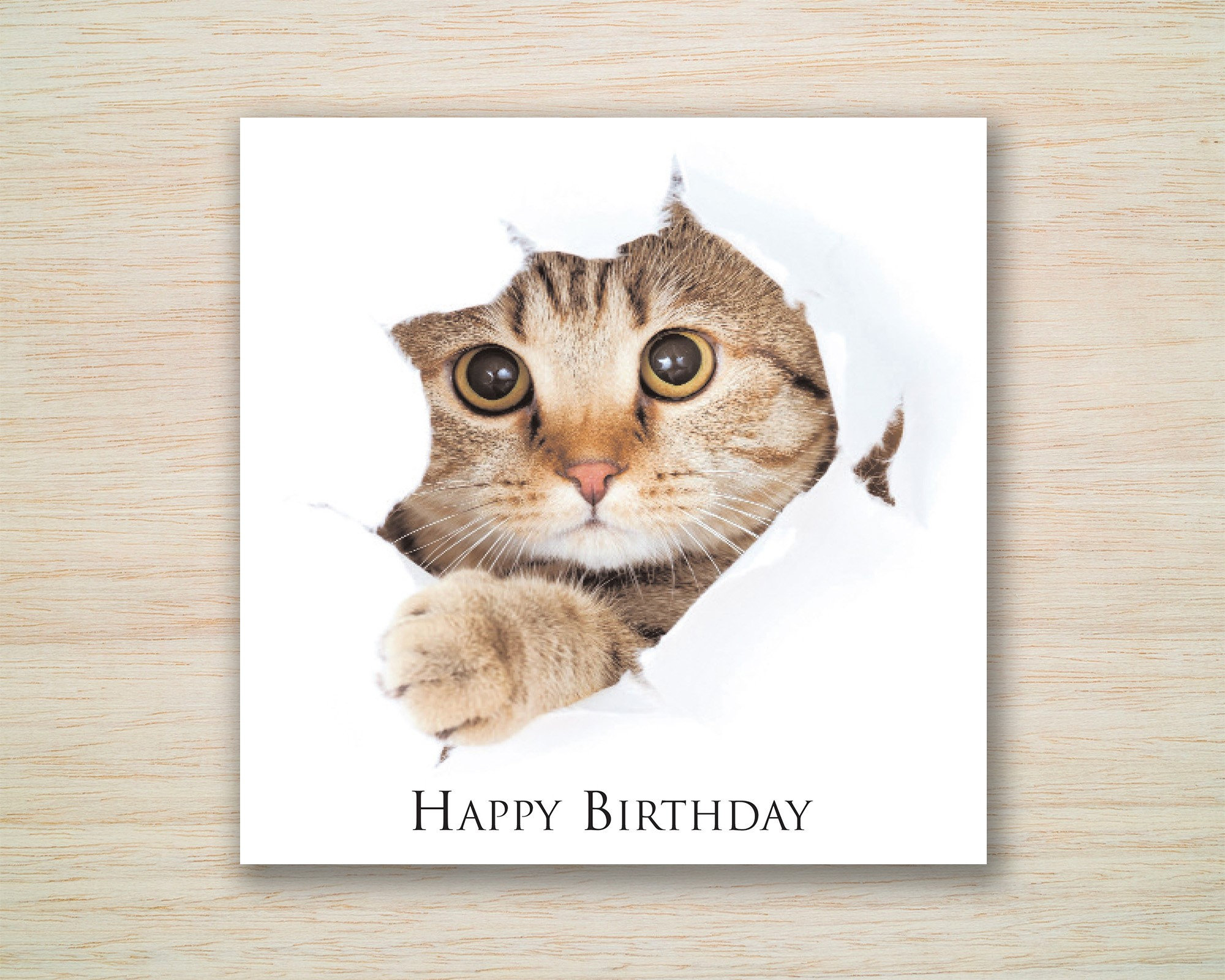 Tabby Cat Birthday Card Cat Kitten Happy Birthday Cat Card for - Etsy UK