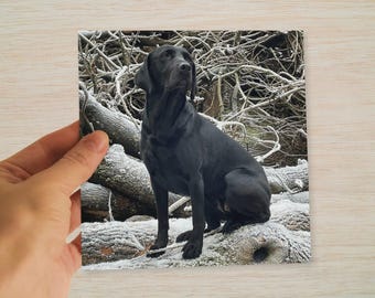 Black Labrador Christmas Cards – Winter Woodland