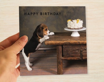 Funny Beagle Birthday Card  Temptation! Birthday Cake suit Mum Daughter Sister Friend Brother Dad Son Niece Nephew Nan Aunt Uncle Freepost