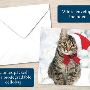 May include: A Christmas card featuring a tabby cat wearing a Santa hat and a red bow. The card is accompanied by a white envelope. Text on the card reads "White envelope included" and "Comes packed in a biodegradable cellobag."