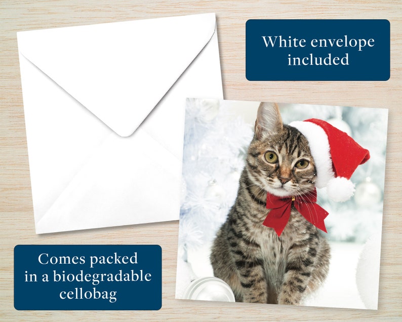 May include: A Christmas card featuring a tabby cat wearing a Santa hat and a red bow. The card is accompanied by a white envelope. Text on the card reads "White envelope included" and "Comes packed in a biodegradable cellobag."
