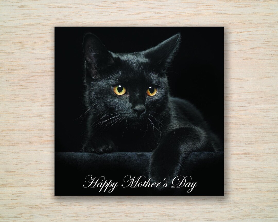 Mothers Day Card Black Cat Mothers Day Card Cat Kitten Suit Mummy ...