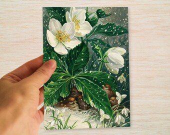 Vintage Aconites & Snowdrops Christmas Cards, Nature Bird Illustration Card Pack, Set of 6 or 10, Blank Inside