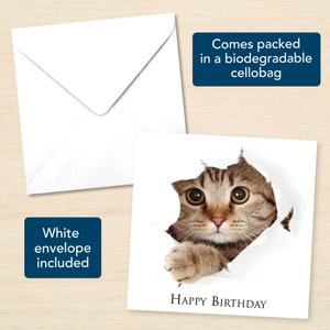 May include: A white card with a brown and white tabby cat peeking through a hole in the card. The cat has big, round eyes and a surprised expression. The text "HAPPY BIRTHDAY" is printed below the cat.