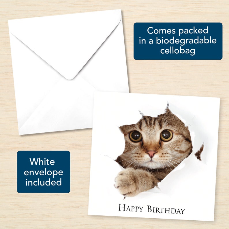 May include: A white card with a brown and white tabby cat peeking through a hole in the card. The cat has big, round eyes and a surprised expression. The text "HAPPY BIRTHDAY" is printed below the cat.