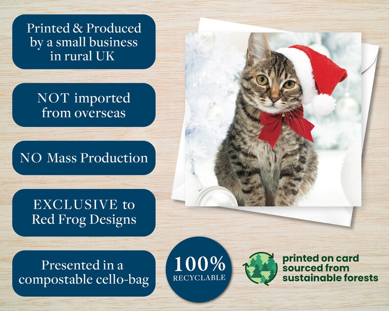 May include: A greeting card featuring a tabby cat wearing a Santa hat and a red bow. The card is printed on card sourced from sustainable forests and presented in a compostable cello-bag. The card is exclusive to Red Frog Designs.