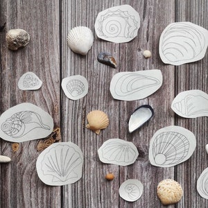 Stick and Stitch Embroidery Designs, The Shells Set, seaside embroidery, Coastal needlework, needlepoint transfers, embroidery stabilizers