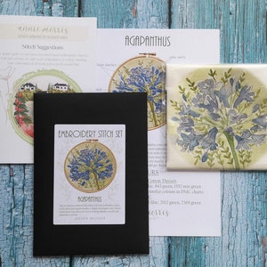 Agapanthus Embroidery Pattern, Floral Needlework Pattern, Botanical Needle Craft Pattern, Hand Embroidery design, Flowers Embroidery