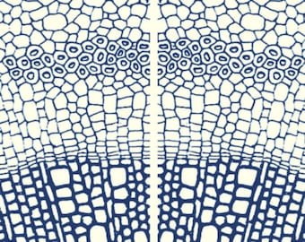 A445 (Cell Structure of Leaf ), Low relief pattern for the rolling mill and metal clay 2&quot; X 3.5&quot; (Laser Engraved Paper)