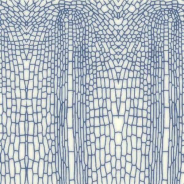 J971 (Root Tip Cross-Section) Rolling Mill, Low Relief Pattern 5"x7" (Laser Engraved Paper)