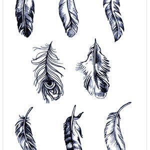 May include: A sheet of clear cling stamps featuring seven different black and white illustrations of feathers. The stamps are labeled "Feathers #1" and "J2116".