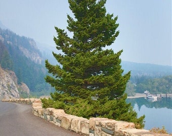 Glacier National Park