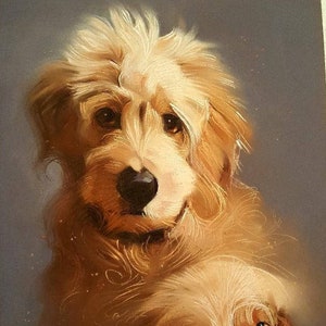 Custom Pet Portraits