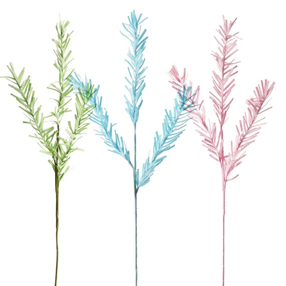 rgb kaktus Blue Column Cactus | Rainbow main image 0