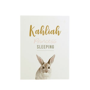 Personalised Baby Princess Sleeping Door Plaque