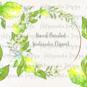 Hand Painted Watercolor Lemon Clipart Fruit  Citrus Fruits Set Clip Art Yellow Lemons Clipart  Lemon Wreaths Citrus Scrapbook sublimation
