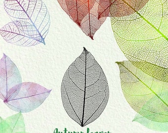 Skeleton Leaves Clipart, Watercolor Leaves , Botanical ,PNG Wedding ,Overlay  Leaves ,Iridiscent plants, High resolution png.Commercial Use
