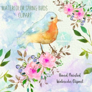 Puede incluir: Clipart de acuarela con un pájaro azul posado en una rama con flores rosas y hojas verdes. También se incluye el texto "WATERCOLOR SPRING BIRDS CLIPART" y "Hand Painted Watercolor Clipart".