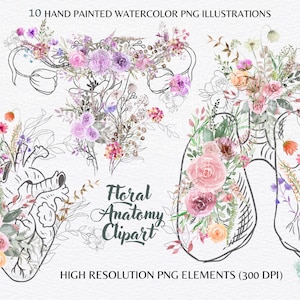 Floral Anatomy Clipart Hand drawn and watercolor organs brain heart lungs spine Floral Uterus Illustration png  Sublimation  Commercial Use