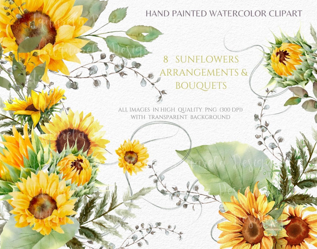 Watercolor Sunflower Clipart: Hand-painted Floral Bouquets (PNG Digital ...