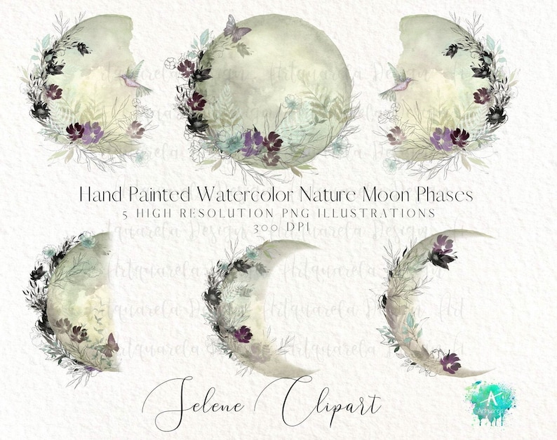 May include: Five watercolor illustrations of moon phases with floral and bird accents. The moon phases are in various stages of fullness, from a crescent to a full moon. The illustrations are in shades of green, gray, and purple.