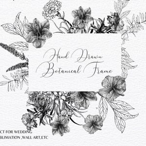 Digital Botanical Frame PNG, Modern Flowers Clipart, Black White Clipart,Line Drawing,Flowers Hand drawn Fine Art WildFlowers Commercial Use