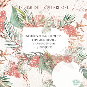 Pacote de folhagens tropicais Clipart- Aquarela e folhas de ouro rosa png - Monstera clipart- Samambaia - Molduras - Buquê floral- Uso botânico- Comercial