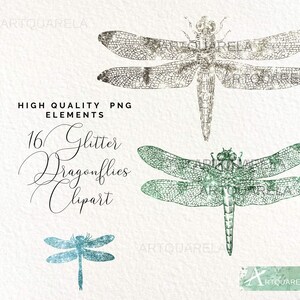 50% OFF SALE, Dragonflies Set Clipart,glitter Colorful Dragonfly,silver ...