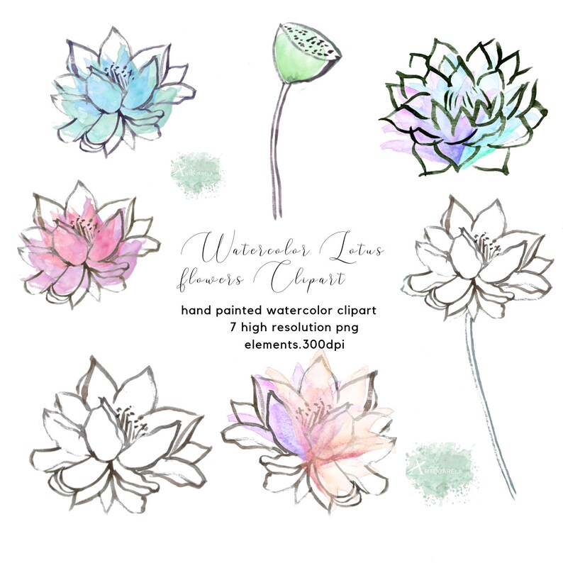 May include: A set of seven watercolor and line art lotus flower illustrations. The illustrations are in shades of pink, blue, green, and purple. The text "Watercolor Lotus Flowers Clipart" is written in black cursive font. The text "hand painted watercolor clipart 7 high resolution png elements. 300dpi" is written in black sans-serif font.