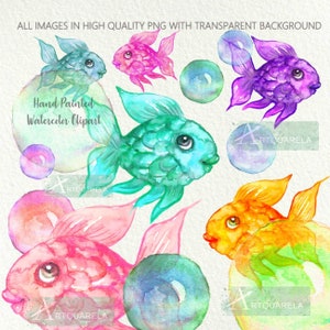 Ensemble de cliparts aquarelle poissons poissons colorés png Poissons arc-en-ciel peints à la main Png graphiques sublimés haute résolution pour un usage commercial
