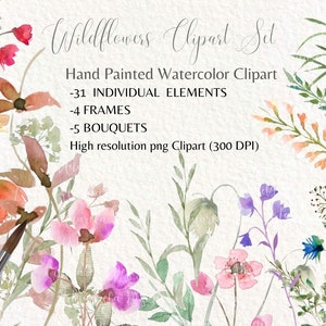 Wildflowers Watercolor Clipart Setcolorful - Etsy