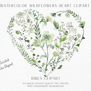 Acuarela pintada a mano, vegetación, corazón, clipart, flores silvestres, corazón PNG, corazón botánico, clip art del día de San Valentín, clipart ecológico