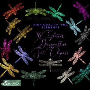 50% OFF SALE, Dragonflies Set Clipart,glitter Colorful Dragonfly,silver ...