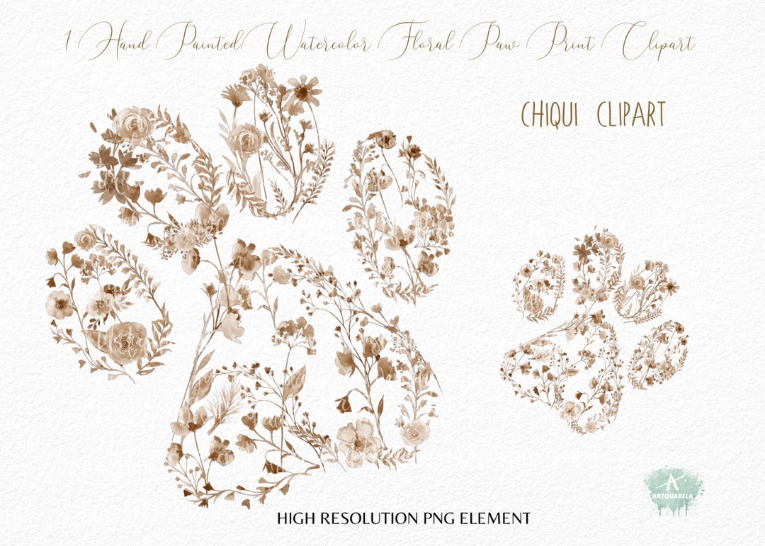 Floral Paw Print Clipartdog Paw Printwildflowers Cat Paw Printvector
