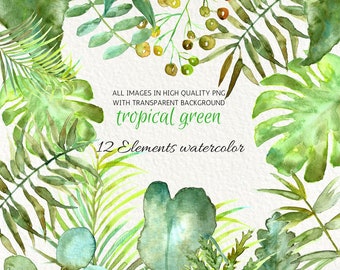 Watercolor Tropical Leaves Set  Clipart ,Palm Leaf,Monstera png, Herbs,greenery png,Wedding Invitation,Green Leaves,Commercial use